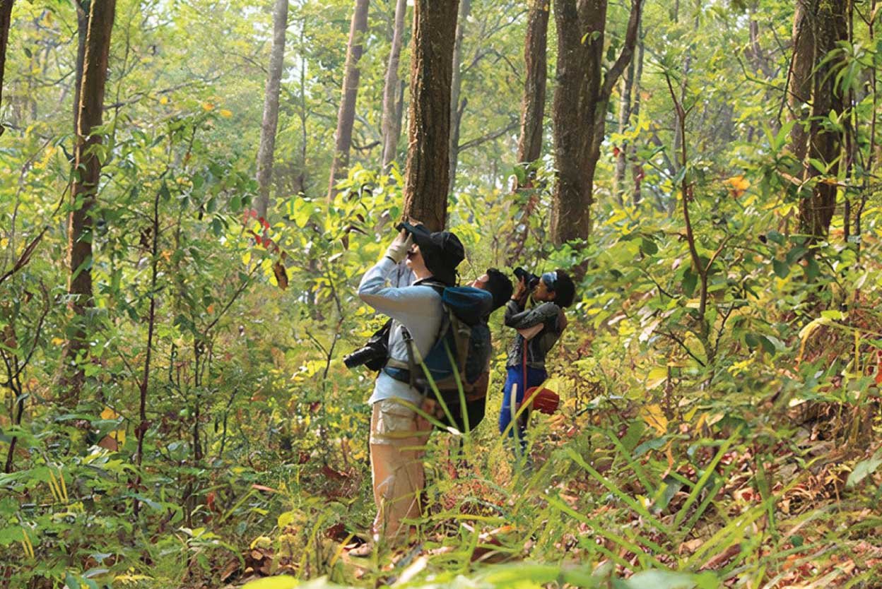 Kitam Bird Sanctiary